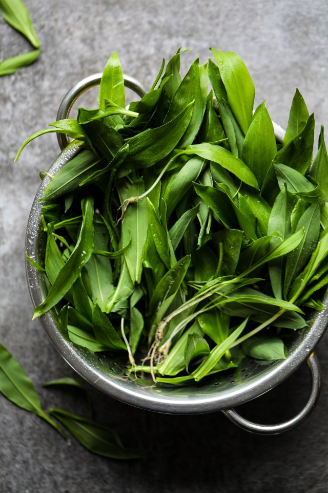 Vegan Wild Garlic (Ramp) Pesto • Happy Kitchen