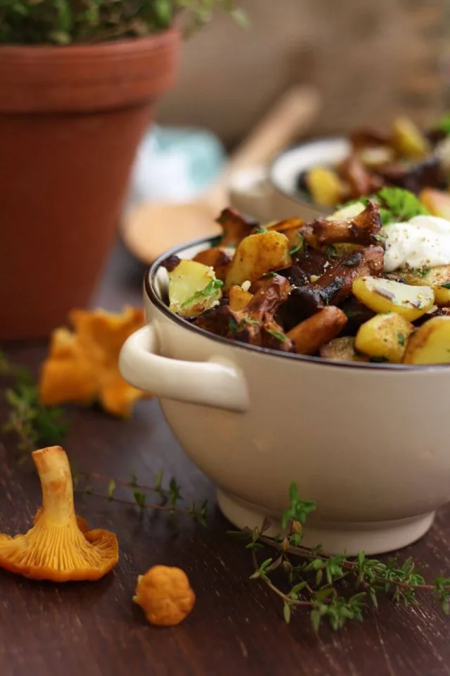Russian Pan-Fried Potatoes with Wild Mushrooms in a Bowl with Mushroom Around