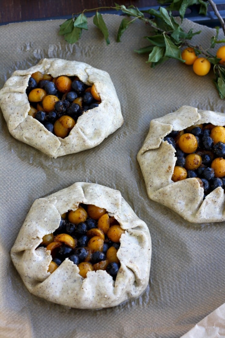 GlutenFree Blueberry Galette • Happy Kitchen