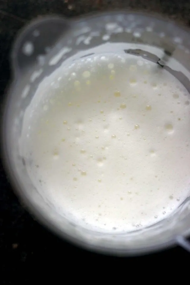 Healthy Vegan Pumpkin Spice Latte - Hot Whipped Cashew Milk Closeup