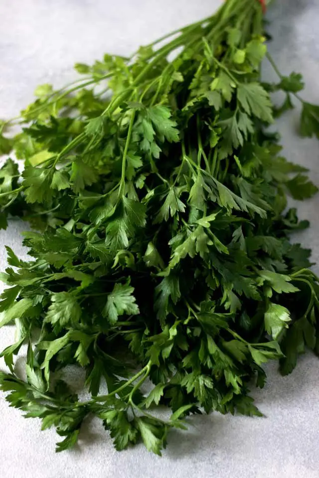 Bundle of Parsley on the Table