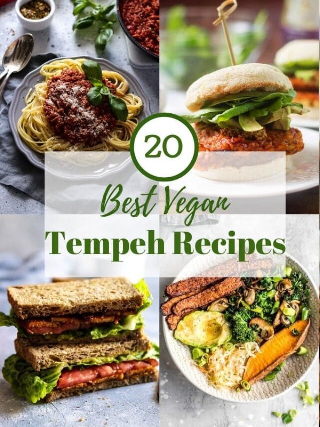 The Best Vegan Tempeh Recipes • Happy Kitchen