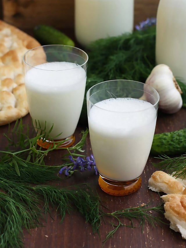 Ayran Turkish Yogurt Drink Story