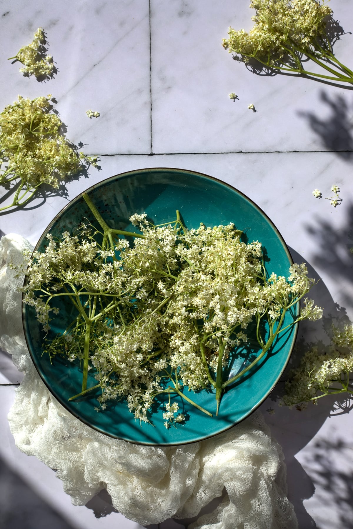 Fresh elderflower florets prepared for syrup making.
